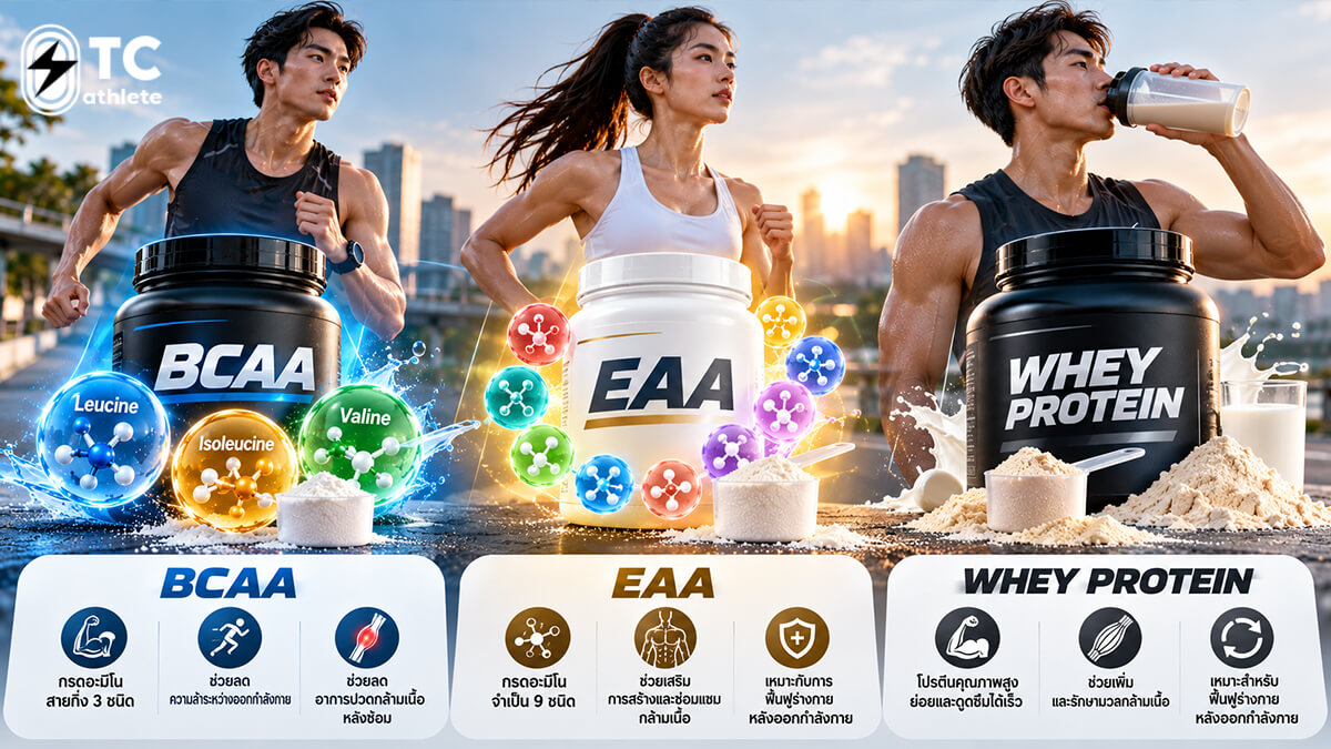 เปรียบเทียบ BCAA EAA และเวย์โปรตีนด้านกรดอะมิโนจำเป็นสำหรับกล้ามเนื้อ